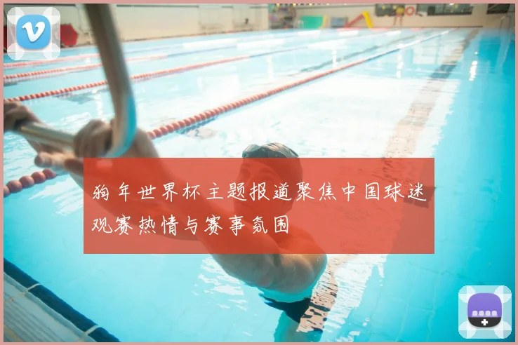 狗年世界杯主题报道聚焦中国球迷观赛热情与赛事氛围