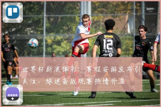世界杯新浪体彩:赛程安排发布引关注,球迷备战观赛热情升温