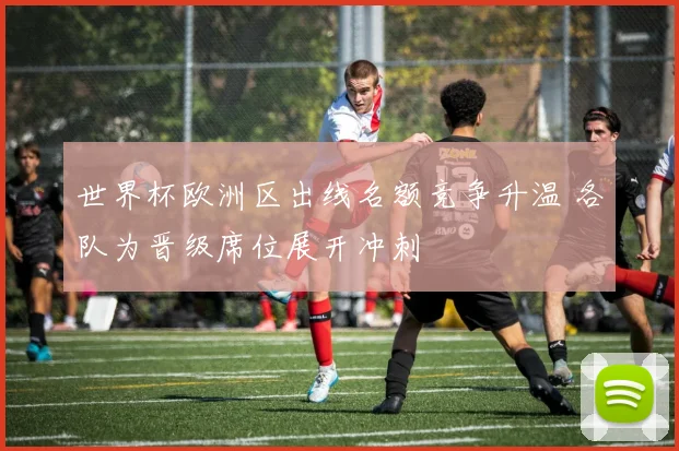 世界杯欧洲区出线名额竞争升温 各队为晋级席位展开冲刺