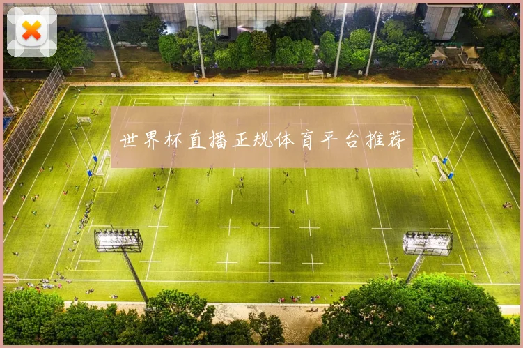 世界杯直播正规体育平台推荐